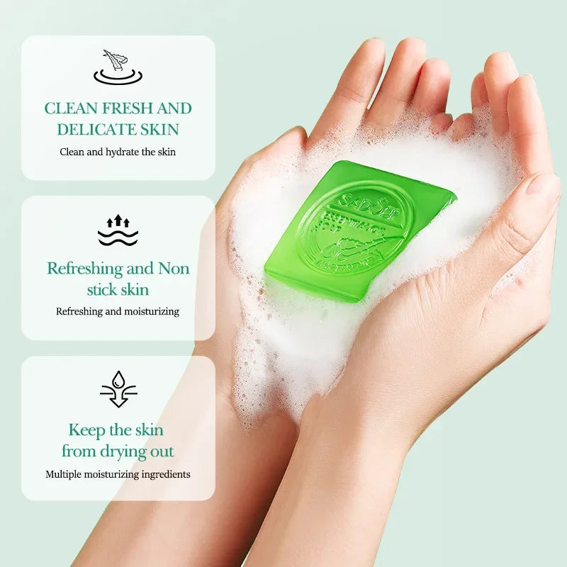 Aloe Moisturizing Face Wash Foam